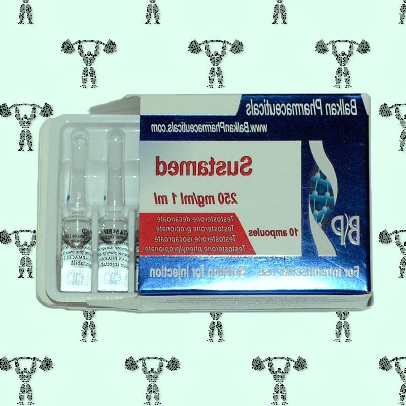 Sustanon / 1 amp. Г— 250 mg/ml 