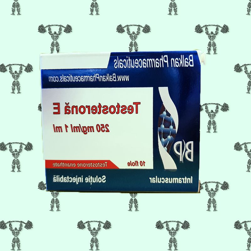 Testosterone Enan / 1 amp. x 250 mg/ml 
